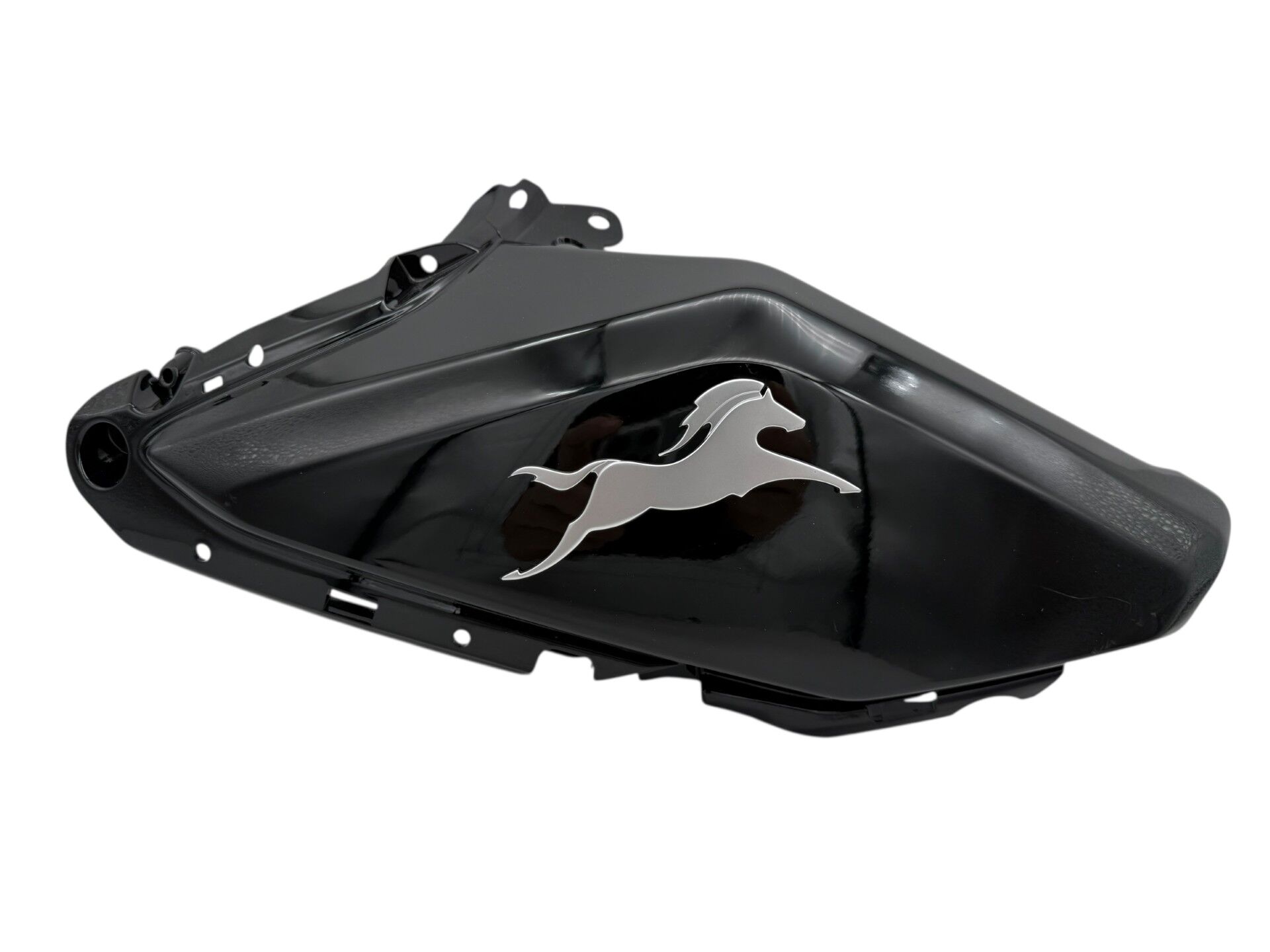 TVS Raider 125 Sağ Depo Grenajı