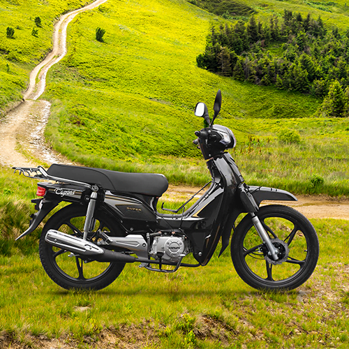 Kanuni Tigrina 50 cc Cup