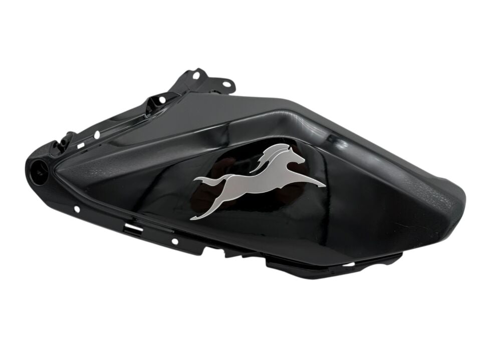 TVS Raider 125 Sağ Depo Grenajı