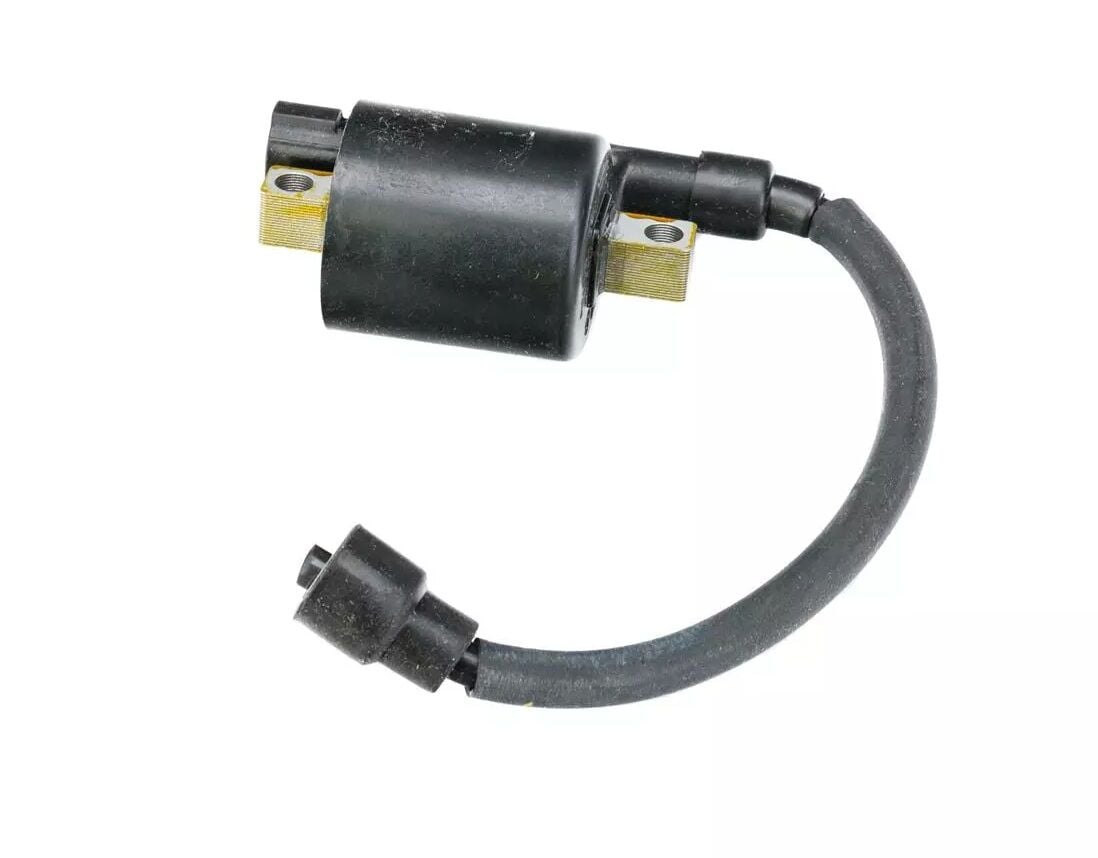 Bajaj Pulsar NS 200 Ateşleme Bobini Euro4