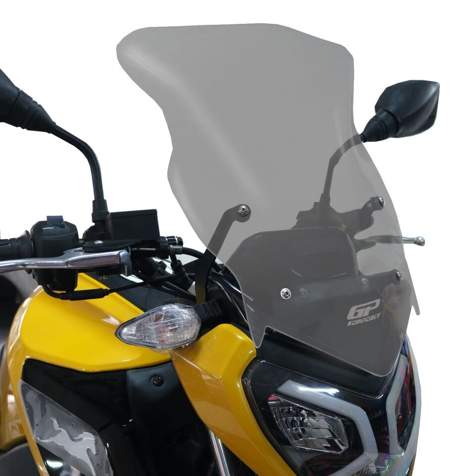 TVS Raider 125 Ön Cam Füme
