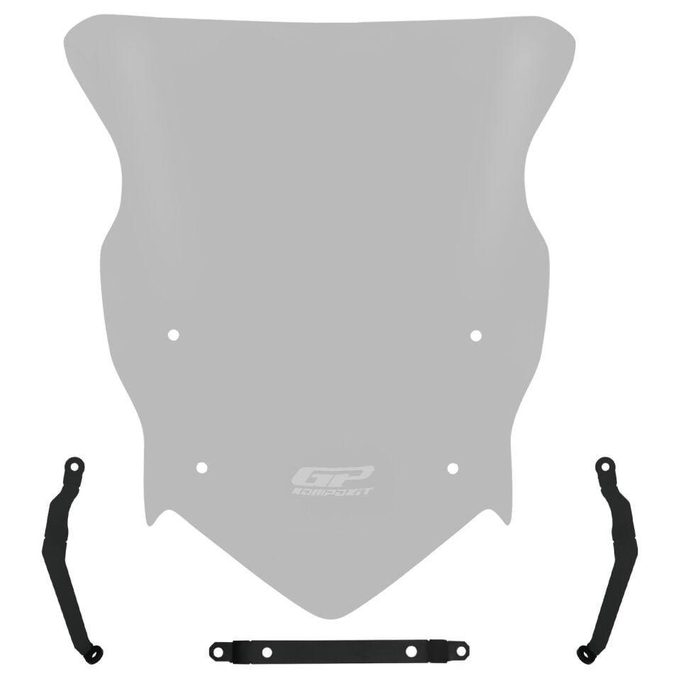 TVS Raider 125 Ön Cam Füme