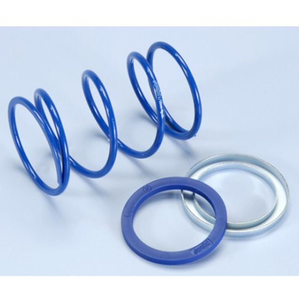 Polini COMPRESSION SPRINGS EVO-S 243.097