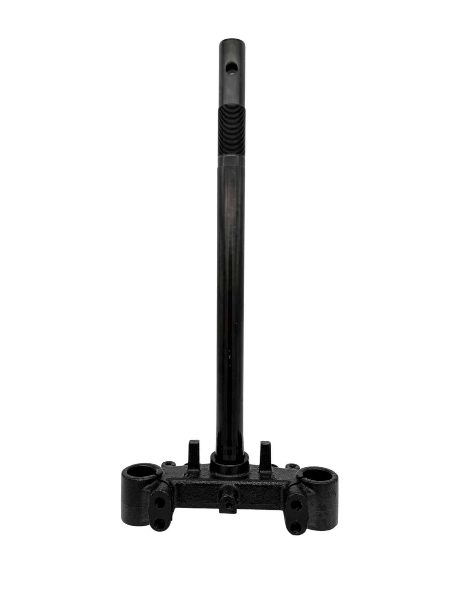 Kuba Blueberry 50 Ön Maşa