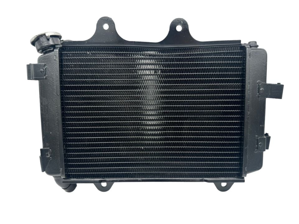 Bajaj Dominar 400 Radyatör