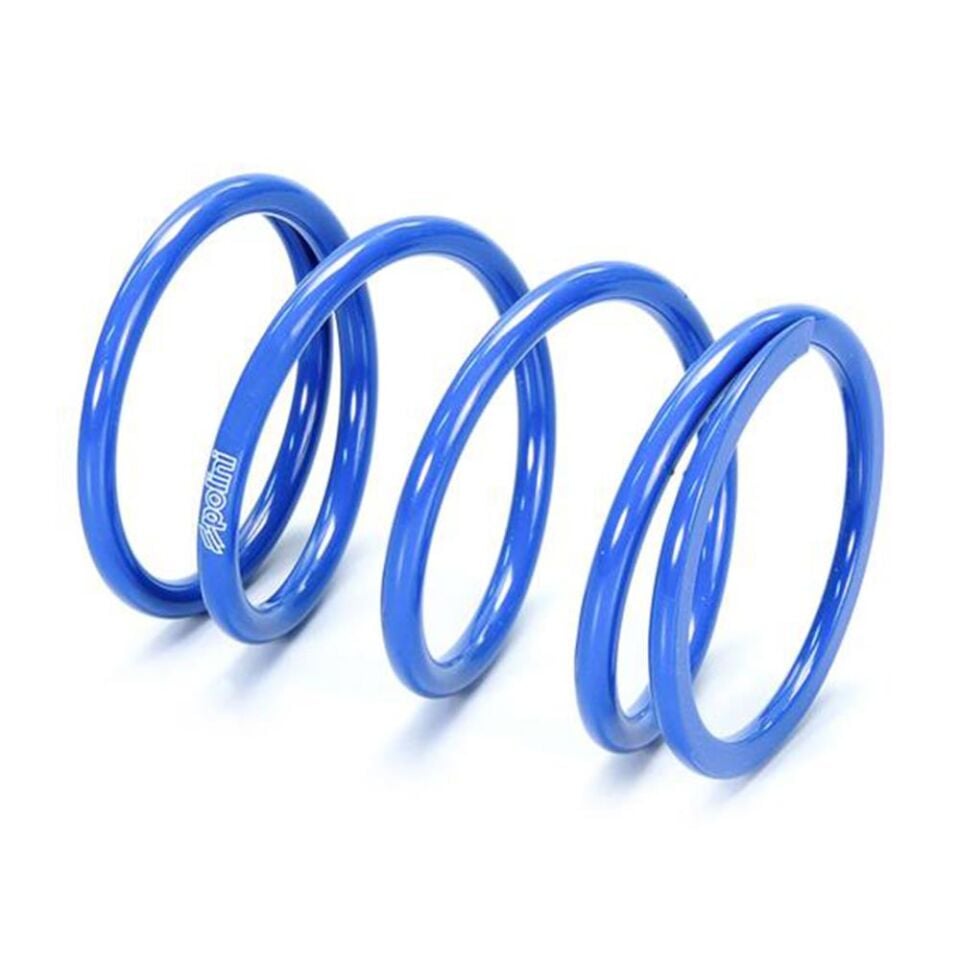 Polini Baskı Yayı KYMCO-HONDA 243.111