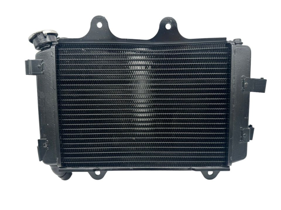 Bajaj Dominar D 250 Radyatör