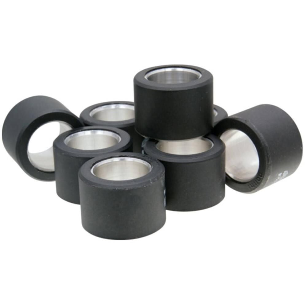 Polini BAGA 28X20 20 Gram (8 Top)  HONDA Siverwing400 242.237