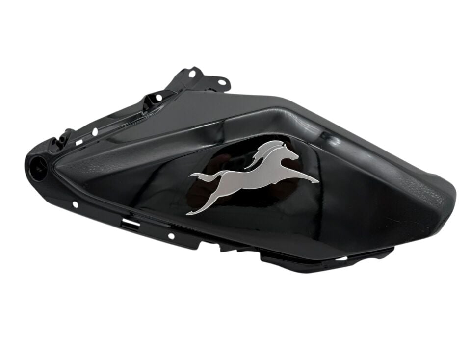 TVS Raider 125 Sağ Depo Grenajı