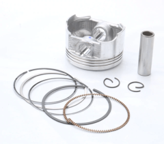 Honda CBR 125 R Piston Segman Takımı Stnd.