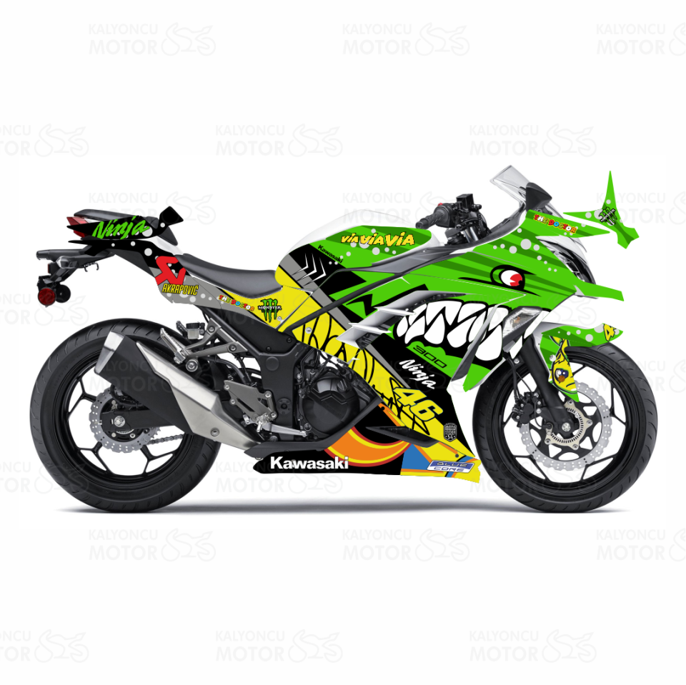 Kawasaki Ninja 300 Rossi Shark Design Yeşil